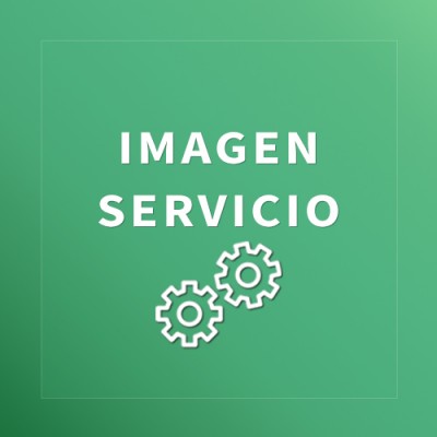 Servicio 3